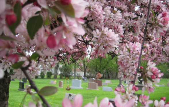Holy Name Cemetery